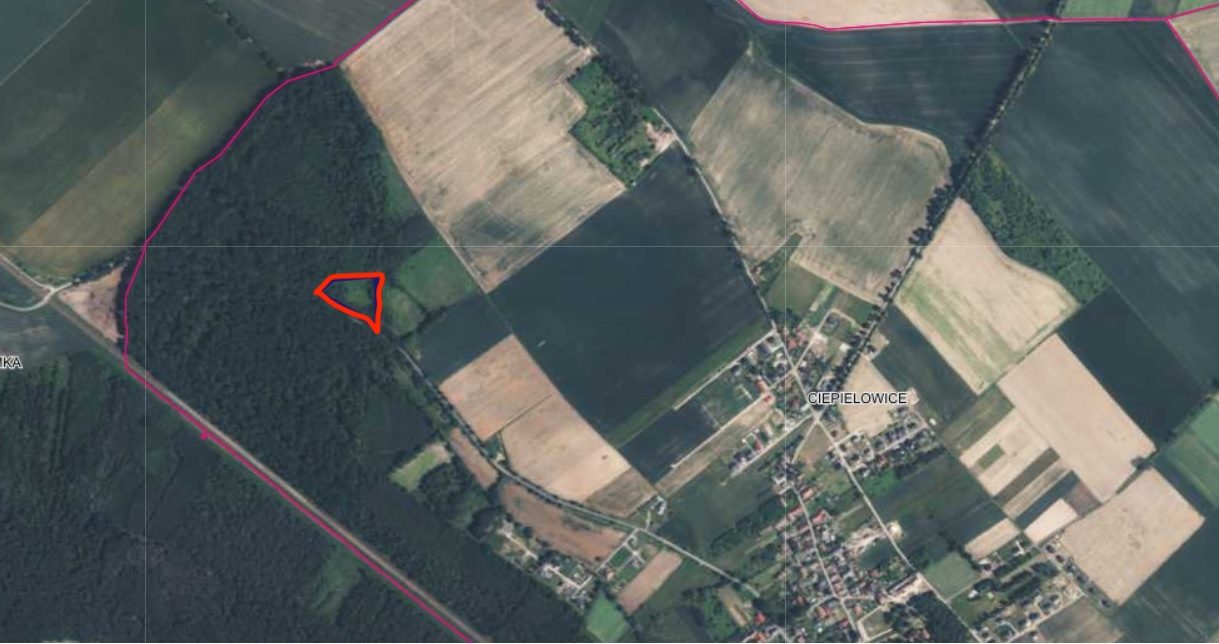 Łąka trwała – 0,79 ha