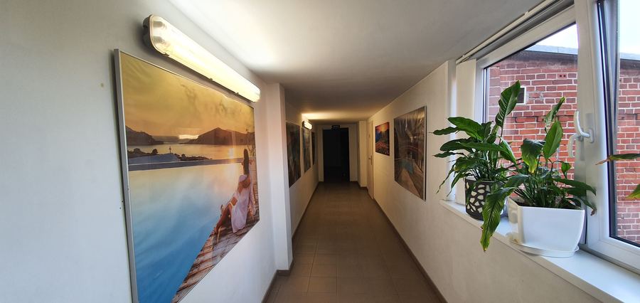 Hala magazynowo-produkcyjna z suwnicą – 2 310 m² — zdjęcie 6