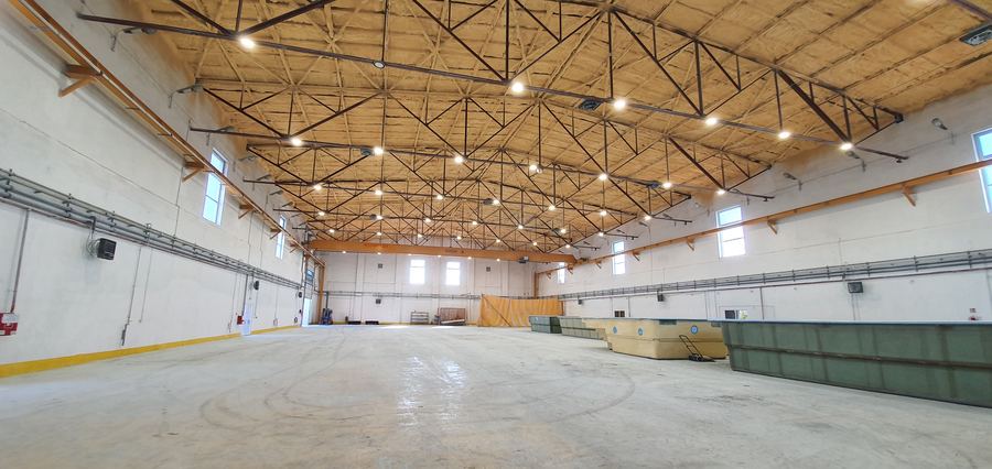 Hala magazynowo-produkcyjna z suwnicą – 2 310 m² — zdjęcie 20