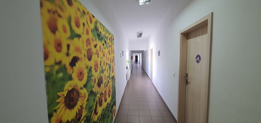 Obiekt noclegowy z zapleczem socjalnym – 392 m² — zdjęcie 6