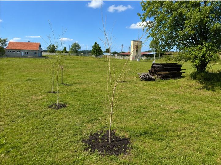 Nieruchomość inwestycyjna – 7,45 ha z budynkiem 140 m² — zdjęcie 2